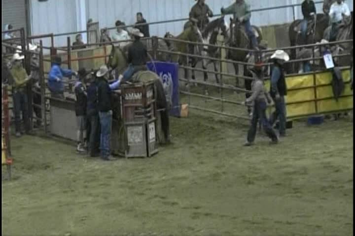 New Englanders November 2025